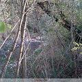 IMG00001-20091107-1513