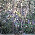 IMG00002-20091107-1513
