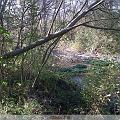 IMG00002-20091125-1410