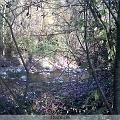 IMG00003-20091125-1410