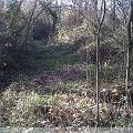 IMG00004-20091125-1410