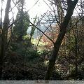 IMG00005-20091125-1411