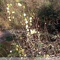 IMG00006-20091125-1413