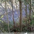 IMG00007-20091107-1516