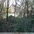 IMG00008-20091107-1516
