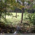 IMG00010-20091107-1517