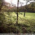 IMG00011-20091107-1518
