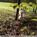 IMG00012-20091107-1518