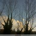 IMG00012-20100109-0750