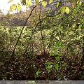 IMG00014-20091107-1521
