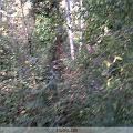 IMG00018-20091107-1523
