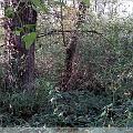 IMG00019-20091107-1523