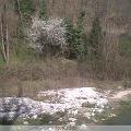 IMG00019-20100317-1406