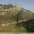 IMG00021-20100318-1352