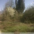 IMG00022-20100318-1357