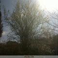 IMG00024-20100318-1358