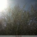 IMG00025-20100318-1358
