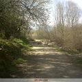 IMG00026-20100318-1400
