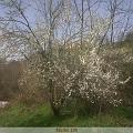 IMG00027-20100319-1439