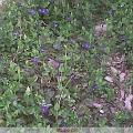 IMG00046-20100324-1416