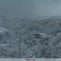 IMG00122