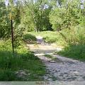 PIC_0607