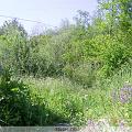 PIC_0608
