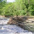 PIC_0620