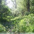 PIC_0626