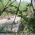 PIC_0632