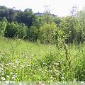 PIC_0645