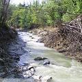 PIC_0651