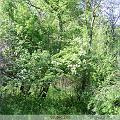 PIC_0657