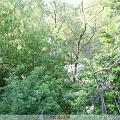 PIC_0666