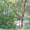 PIC_0667