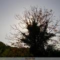 PIC_0684