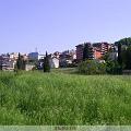PIC_0685