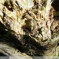 PIC_0687