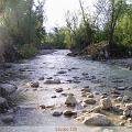 PIC_0690