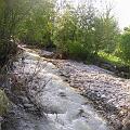 PIC_0701