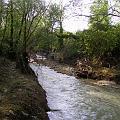 PIC_0703